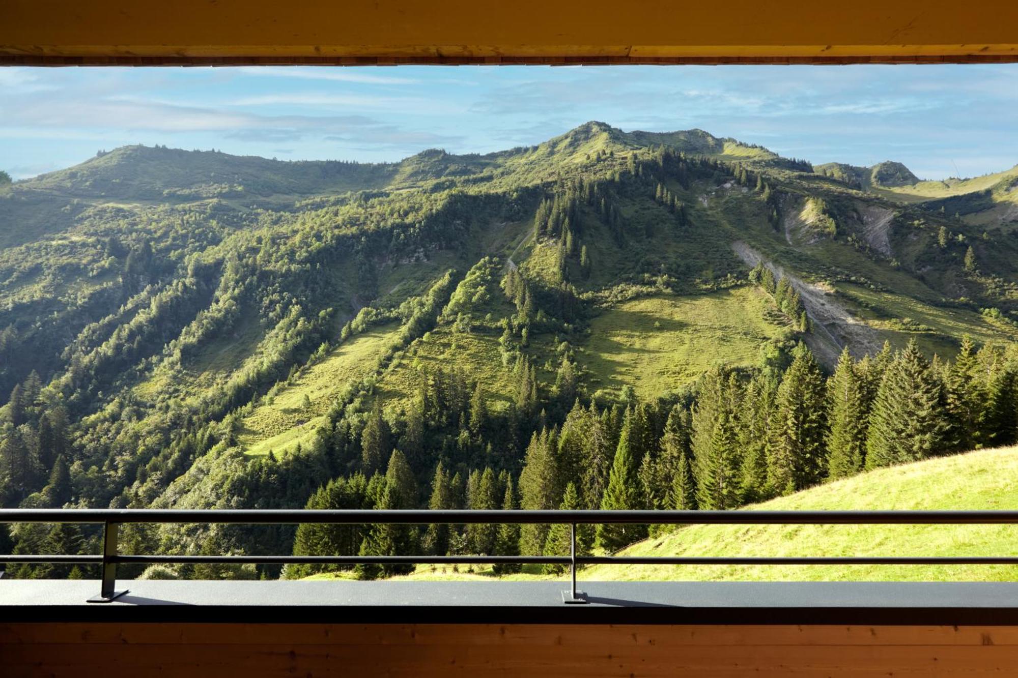 Alpenstolz Damuels Haus 3 - Stilvoll Urlauben In Den Bergen Apartment Екстериор снимка