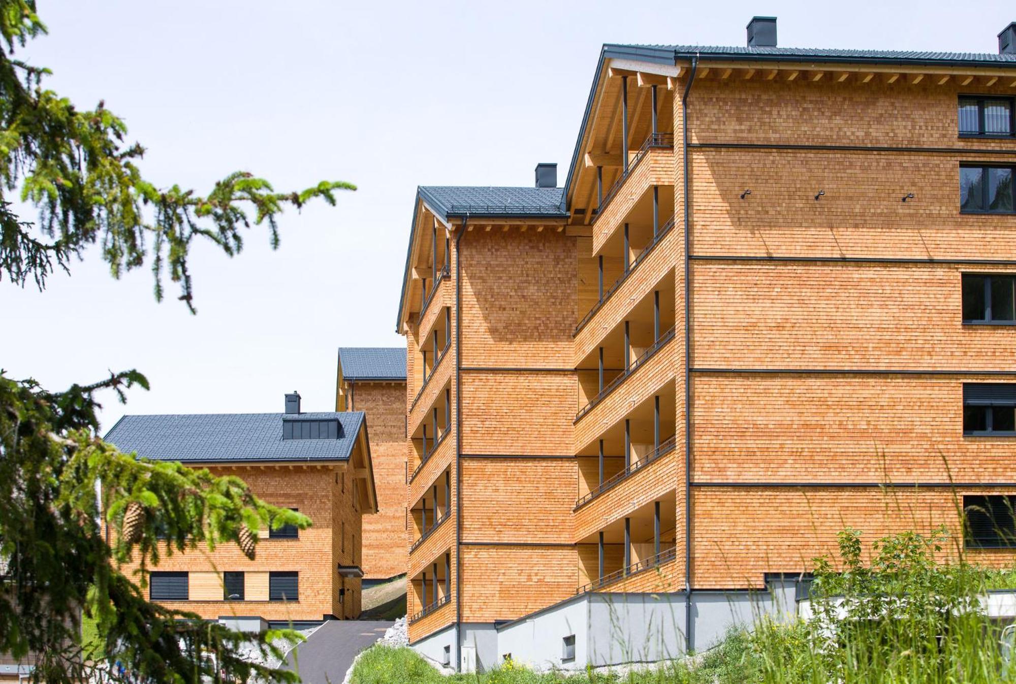 Alpenstolz Damuels Haus 3 - Stilvoll Urlauben In Den Bergen Apartment Екстериор снимка