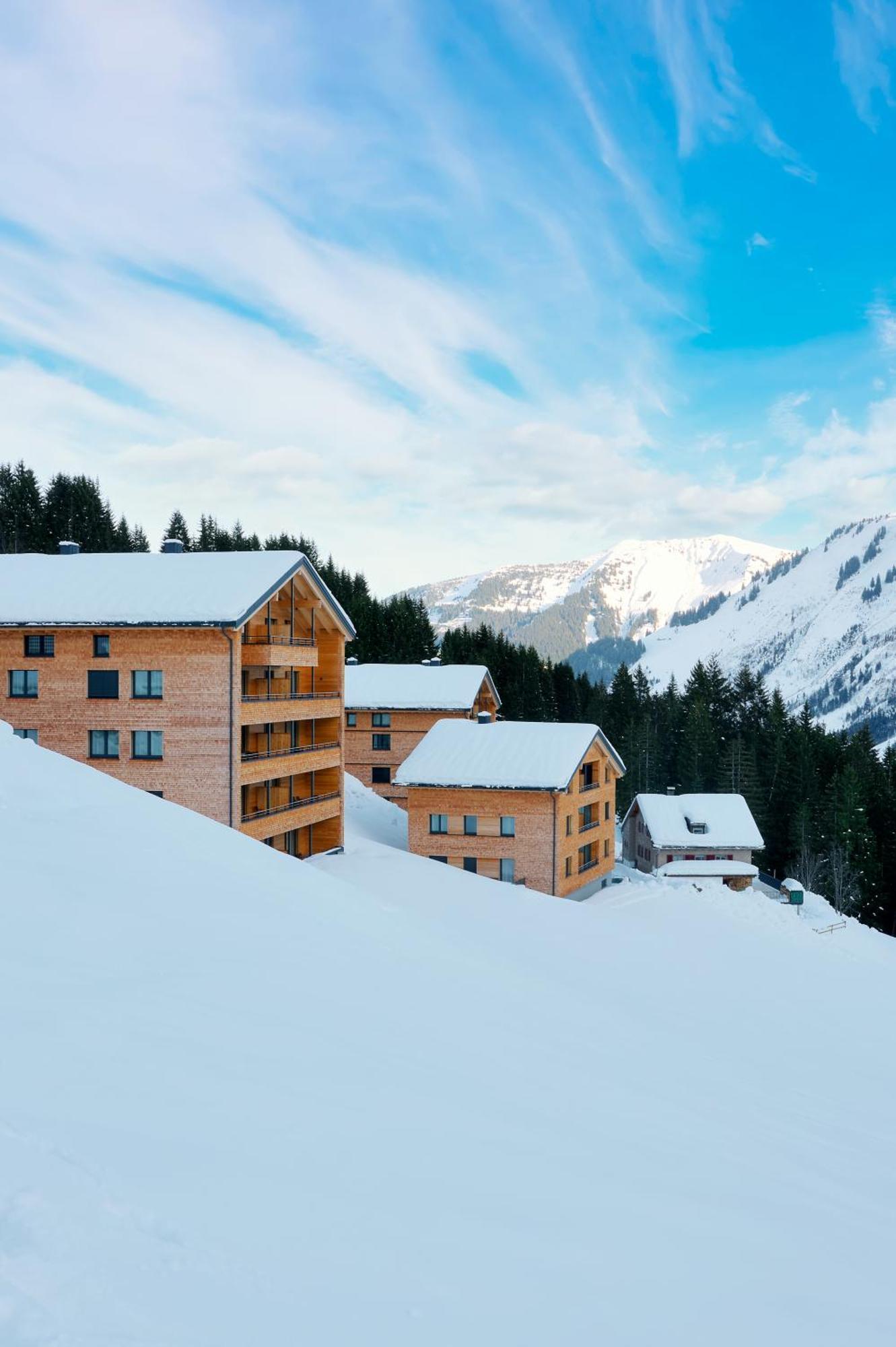 Alpenstolz Damuels Haus 3 - Stilvoll Urlauben In Den Bergen Apartment Екстериор снимка